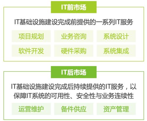 2024年中國IT服務行業研究報告 信息服務業務的發展態勢與前景展望